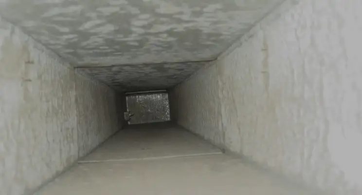 Dangerous lint buildup pulled from a customer's dryer vent